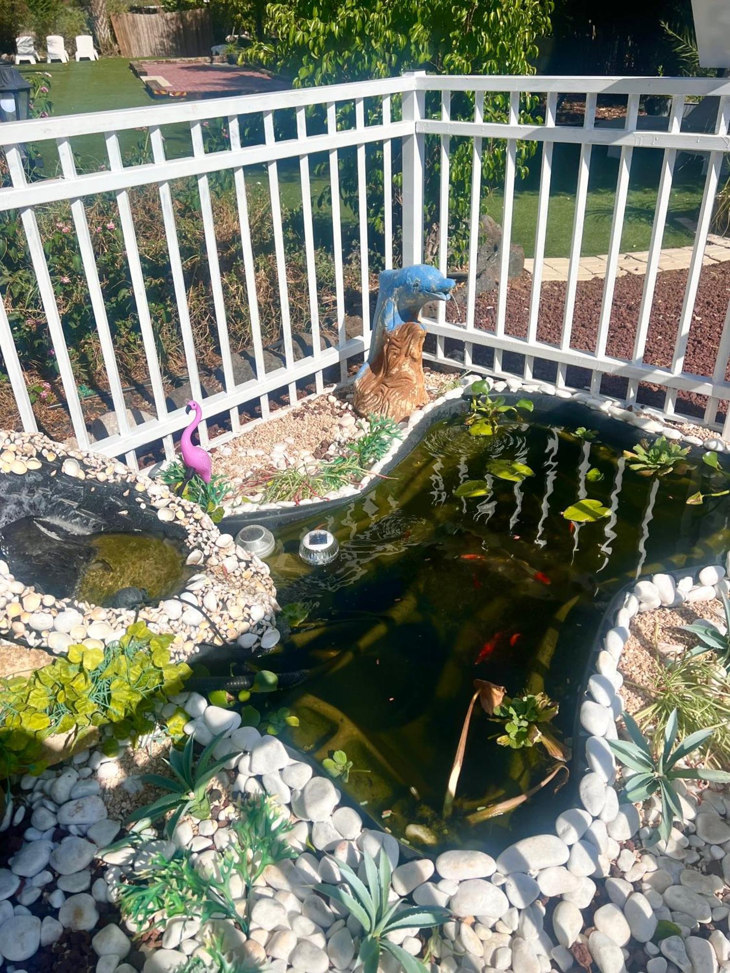 Magical In The Galilee Μοτέλ Qiryat Shemona Εξωτερικό φωτογραφία