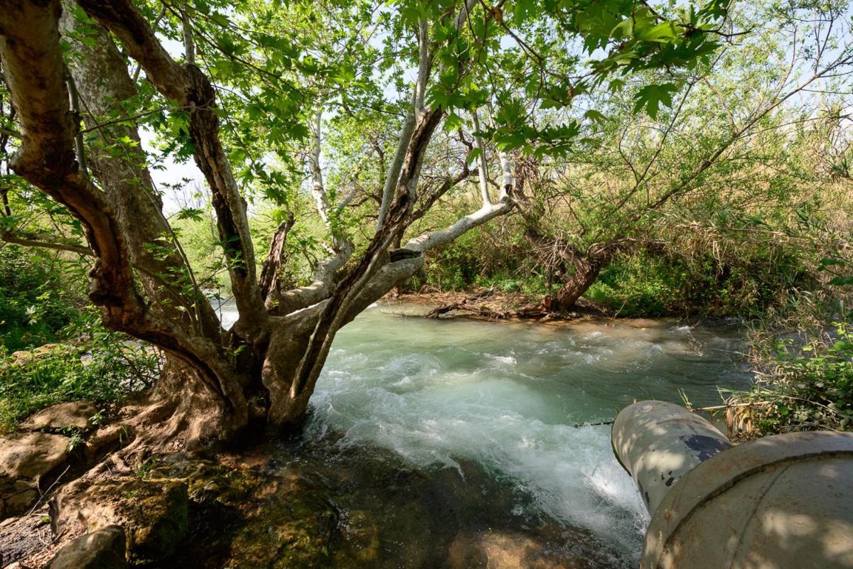 Magical In The Galilee Μοτέλ Qiryat Shemona Εξωτερικό φωτογραφία